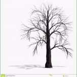 Erstaunlich Baum Malen Vorlage Neu Einzigartiges Herbst Baum