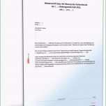 Erstaunlich Bestellung Vorstand Aktiengesellschaft Muster Zum Download