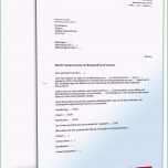 Erstaunlich Bürgschaft Wohnung Vorlage – Vorlagen 1001