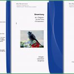 Erstaunlich Deckblatt Bewerbung Vorlage Kostenlos Word – Kebut