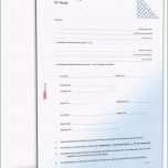 Erstaunlich Deckvertrag Hunde