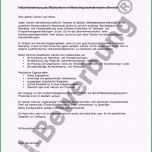 Erstaunlich Die Besten 25 Bewerbung Anschreiben Muster Ideen Auf