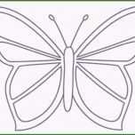 Erstaunlich Die Erstaunliche Schmetterling Vorlage Zum Ausdrucken