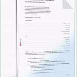 Erstaunlich Die Fabelhaften Gemeinschaftlicher Erbschein Muster