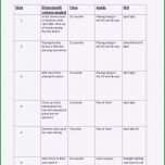 Erstaunlich Drehbuch Vorlage Word