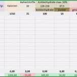 Erstaunlich Ernährungstagebuch Vorlage Excel Bewundernswert