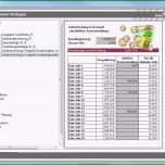 Erstaunlich Fice Vorlagen 2014 Amazon software
