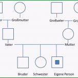 Erstaunlich Genogramm Definition Herkunft Und Anleitung