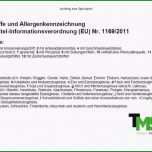 Erstaunlich Gewinn Und Verlustrechnung Kleinunternehmer Vorlage Probe