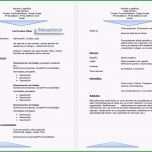 Erstaunlich Gratis Bewerbung Spanisch Anschreiben Lebenslauf Vorlage