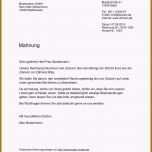 Erstaunlich Gutachten Vorlage Word S Rechnungsmuster Kostenlos