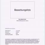 Erstaunlich Hausarbeit Deckblatt Vorlage
