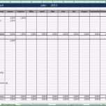 Erstaunlich Haushaltsbuch Vorlage Pdf Erstaunlich Einnahmen Ausgaben
