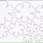 Erstaunlich Hobbyplotter