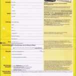 Erstaunlich Kfz Kaufvertrag Muster