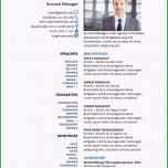 Erstaunlich Komplett Word Vorlage Lebenslauf Führungskraft