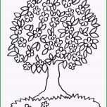 Erstaunlich Kostenlose Malvorlage Bäume Blühender Baum Zum Ausmalen