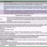 Erstaunlich Lagerungsplan Dekubitus Vorlage Erstaunlich Beispiel