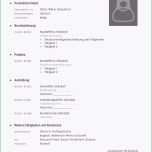 Erstaunlich Lebenslauf Muster Download Open Fice Mit Stunning