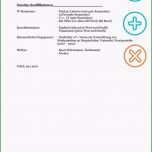 Erstaunlich Lebenslauf Praktikum Studentin Beispiele