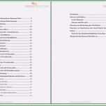 Erstaunlich Lebenslauf Vorlage Ideen