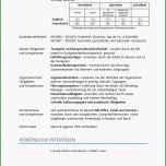Erstaunlich Lebenslaufvorlagen 2018 Zum Download Lebenslauf