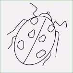 Erstaunlich Marienkäfer Vorlage Zum Ausdrucken Fabelhaft Kostenlose