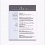 Erstaunlich Mieterselbstauskunft Vorlage Elegant 52 Das Beste Von