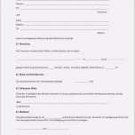 Erstaunlich Mietvertrag Vorlage Word Einzigartig Einfacher Mietvertrag