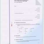 Erstaunlich Mobilfunk Kündigung Vorlage