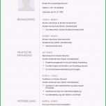 Erstaunlich Moderne Lebenslauf Vorlage In Dezentem Grau Zum