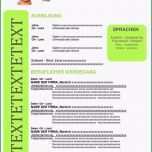 Erstaunlich Muster Lebenslauf In Englisch Sprache In Word