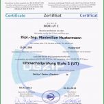Erstaunlich Muster Zertifikat Und Ausweis