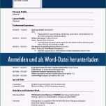 Erstaunlich Muster Zum Download Lebenslauf Englisch