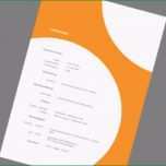 Erstaunlich Musterbewerbung Vorlagen Bewerbung Agentur