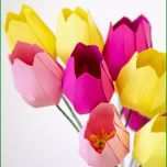 Erstaunlich Papier Blumen Basteln Einfache Tulpen Mit Vorlage