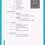 Erstaunlich Planet Beruf Lebenslauf Vorlage Download Illuminations