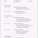 Erstaunlich Praktikumsmappe Deckblatt Vorlage Word Beispiele Für