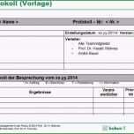 Erstaunlich Projektsteckbrief Vorlage Word Hübsch Niedlich Projekt