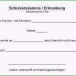 Erstaunlich Sport Entschuldigung Vorlage Cool Seeackerschule Fürth