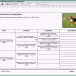 Erstaunlich Stammbaum Erstellen Vorlage Beste Zooeasy Hundezucht