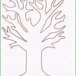 Erstaunlich Stammbaum Zum Ausdrucken Memory Vorlagen Zum Ausdrucken