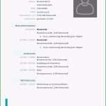 Erstaunlich Sympathisch Ausbildung Übernahme Im Lebenslauf Erzieherin