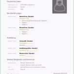 Erstaunlich Tabellarischer Lebenslauf Muster Ktforsenate Schulischer