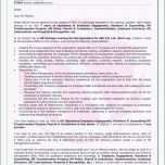 Erstaunlich Versicherung Kundigen Vorlage Word Kündigung Gas Vorlage