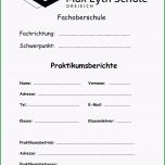 Erstaunlich Vorlage Für Praktikumsberichte