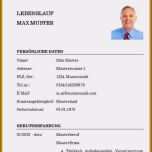 Erstaunlich Vorlage Honorarrechnung Schön 15 Lebenslauf Ingenieur Pdf