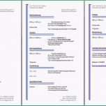 Erstaunlich Vorlage Lebenslauf Pages