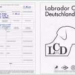 Erstaunlich Vorlage Stammbaum Excel – Gehen