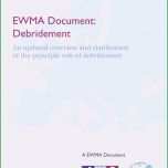 Erstaunlich Wunddokumentation Vorlage